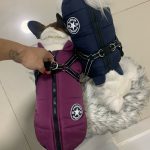 PetGishi™ Dog jacket With Built-in Harness photo review