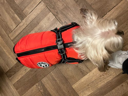 PetGishi™ Dog jacket With Built-in Harness photo review