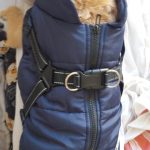 PetGishi™ Dog jacket With Built-in Harness photo review