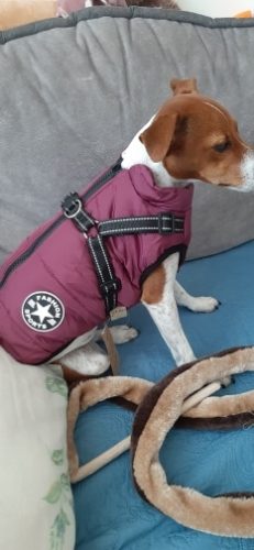 PetGishi™ Dog jacket With Built-in Harness photo review