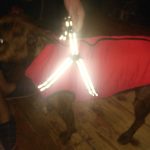 PetGishi™ Dog jacket With Built-in Harness photo review