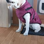 PetGishi™ Dog jacket With Built-in Harness photo review