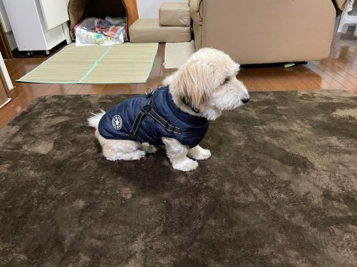 PetGishi™ Dog jacket With Built-in Harness photo review