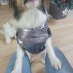 PetGishi™ Dog jacket With Built-in Harness photo review