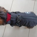 PetGishi™ Dog jacket With Built-in Harness photo review