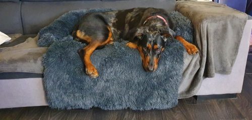 Pupniture&trade; Protector Calming Pet Bed photo review