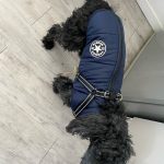 PetGishi™ Calming Dog jacket With Built-in Harness photo review