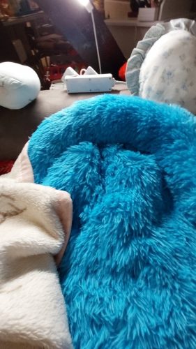 Pupniture&trade; Protector Calming Pet Bed photo review