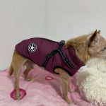 PetGishi™ Dog jacket With Built-in Harness photo review