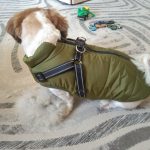 PetGishi™ Dog jacket With Built-in Harness photo review