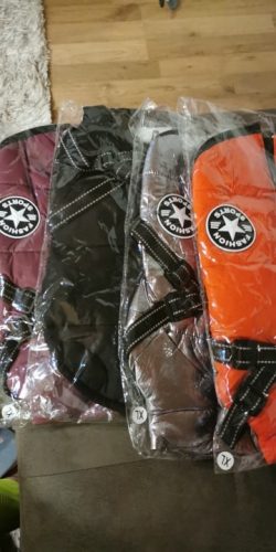 PetGishi™ Dog jacket With Built-in Harness photo review