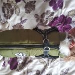 PetGishi™ Dog jacket With Built-in Harness photo review