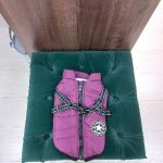 PetGishi™ Dog jacket With Built-in Harness photo review