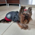 PetGishi™ Dog jacket With Built-in Harness photo review