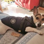 PetGishi™ Dog jacket With Built-in Harness photo review
