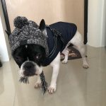 PetGishi™ Dog jacket With Built-in Harness photo review