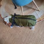 PetGishi™ Dog jacket With Built-in Harness photo review