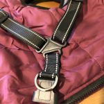 PetGishi™ Dog jacket With Built-in Harness photo review