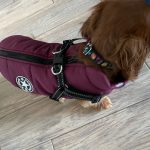 PetGishi™ Dog jacket With Built-in Harness photo review