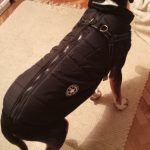 PetGishi™ Calming Dog jacket With Built-in Harness photo review
