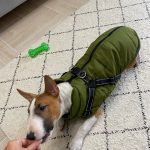 PetGishi™ Dog jacket With Built-in Harness photo review