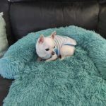 Pupniture™ Protector Calming Pet Bed photo review