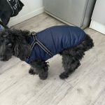 PetGishi™ Calming Dog jacket With Built-in Harness photo review