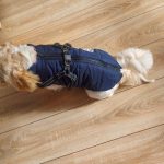 PetGishi™ Dog jacket With Built-in Harness photo review