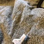 PetGishi™ Dog jacket With Built-in Harness photo review