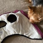 PetGishi™ Dog jacket With Built-in Harness photo review