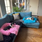 Pupniture™ Protector Calming Pet Bed photo review