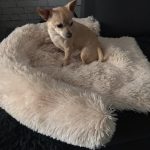 Pupniture™ Protector Calming Pet Bed photo review