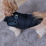 PetGishi™ Dog jacket With Built-in Harness photo review
