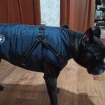 PetGishi™ Dog jacket With Built-in Harness photo review
