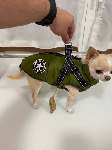 Click to view full screen PetGishi™ Dog jacket With Built-in Harness photo review