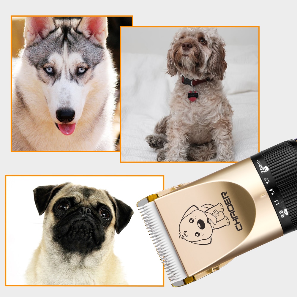Pet-Dog-Grooming-clipper-hair-Professional-Electrical-Trimmer-Rechargeable-Grooming-Tool-Low-noise-Pet-Haircut-Shave-1