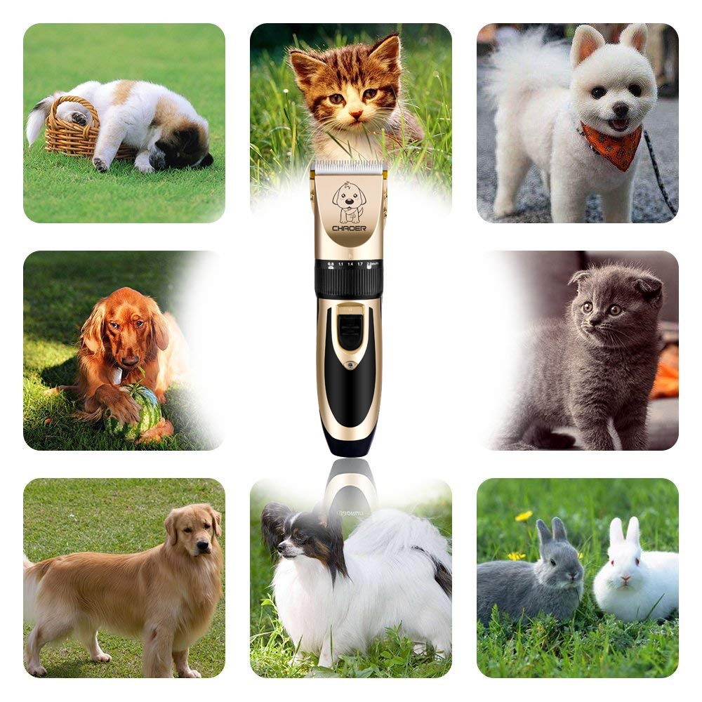 Pet-Dog-Grooming-clipper-hair-Professional-Electrical-Trimmer-Rechargeable-Grooming-Tool-Low-noise-Pet-Haircut-Shave-5
