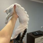 Rechargeable PetPro™ Grooming Kit photo review