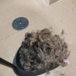Rechargeable PetPro™ Grooming Kit photo review