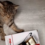Rechargeable PetPro™ Grooming Kit photo review