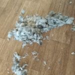 Rechargeable PetPro™ Grooming Kit photo review